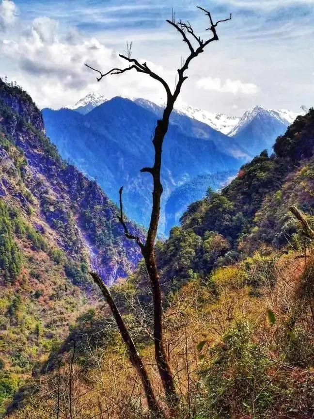 碧羅雪山