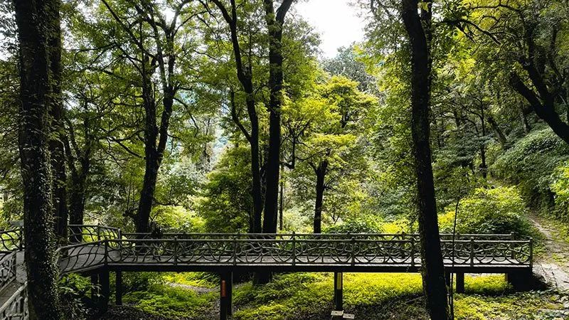 怒江活動策劃：有一種生活叫云南的怒江丨一起去姚家坪，上一堂自然課